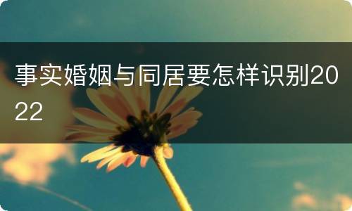 事实婚姻与同居要怎样识别2022