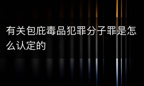 有关包庇毒品犯罪分子罪是怎么认定的