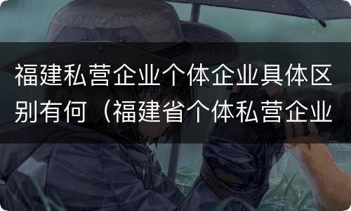 福建私营企业个体企业具体区别有何（福建省个体私营企业协会）