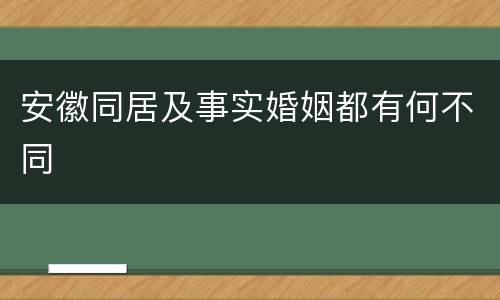 安徽同居及事实婚姻都有何不同