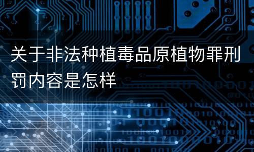 关于非法种植毒品原植物罪刑罚内容是怎样