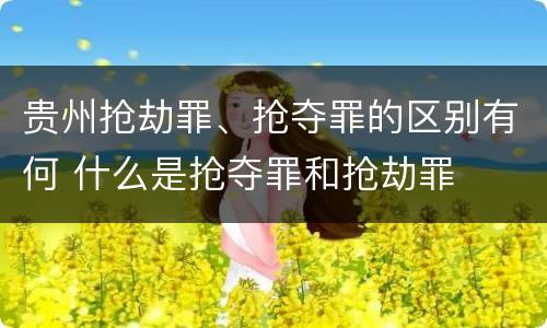 贵州抢劫罪、抢夺罪的区别有何 什么是抢夺罪和抢劫罪