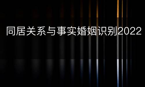 同居关系与事实婚姻识别2022