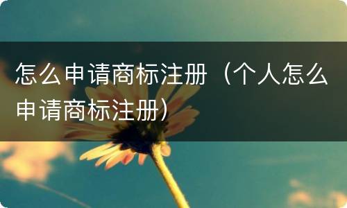 怎么申请商标注册（个人怎么申请商标注册）