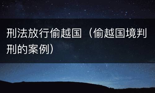 刑法放行偷越国（偷越国境判刑的案例）