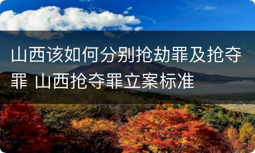 山西该如何分别抢劫罪及抢夺罪 山西抢夺罪立案标准