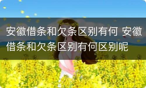 安徽借条和欠条区别有何 安徽借条和欠条区别有何区别呢