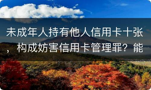 未成年人持有他人信用卡十张，构成妨害信用卡管理罪？能取保吗
