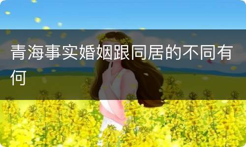 青海事实婚姻跟同居的不同有何