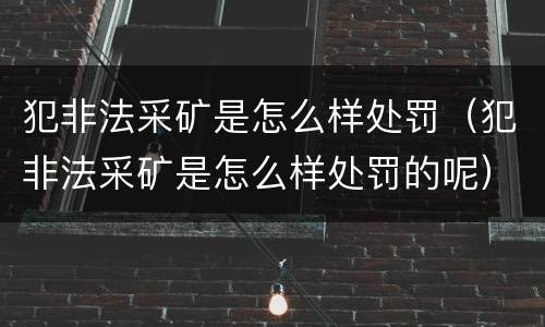 犯非法采矿是怎么样处罚（犯非法采矿是怎么样处罚的呢）