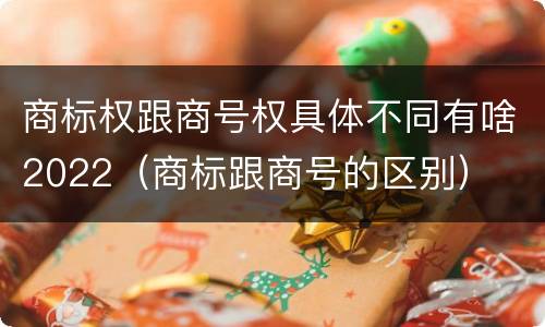 商标权跟商号权具体不同有啥2022（商标跟商号的区别）