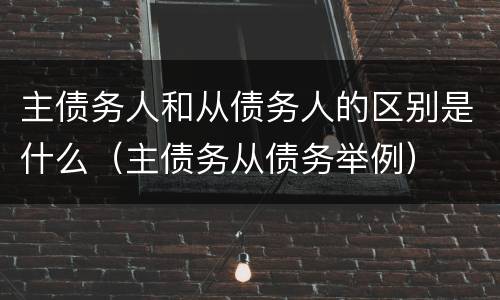 主债务人和从债务人的区别是什么（主债务从债务举例）