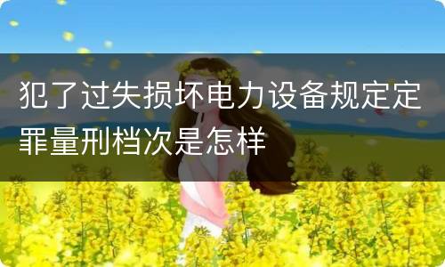 犯了过失损坏电力设备规定定罪量刑档次是怎样