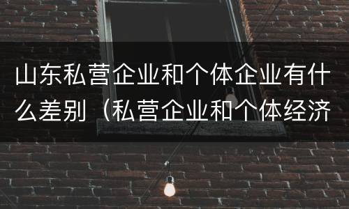 山东私营企业和个体企业有什么差别（私营企业和个体经济的区别）