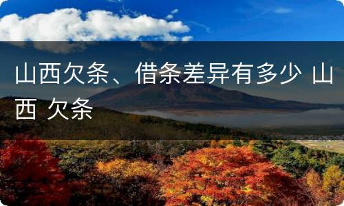 山西欠条、借条差异有多少 山西 欠条