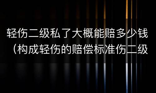 轻伤二级私了大概能赔多少钱（构成轻伤的赔偿标准伤二级私了20万多不）