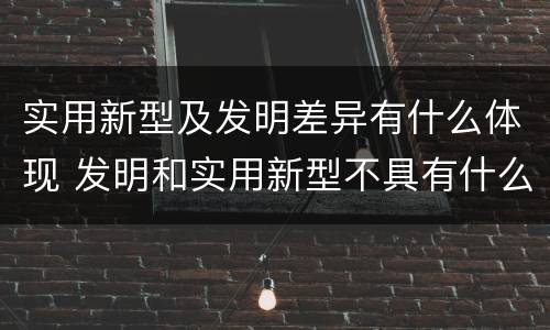 实用新型及发明差异有什么体现 发明和实用新型不具有什么特性