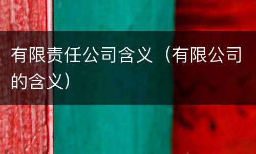有限责任公司含义（有限公司的含义）