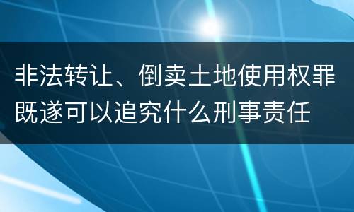 非法转让、倒卖土地使用权罪既遂可以追究什么刑事责任
