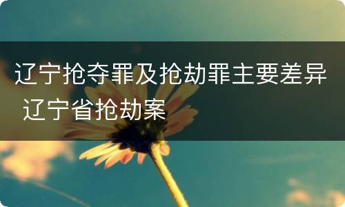辽宁抢夺罪及抢劫罪主要差异 辽宁省抢劫案
