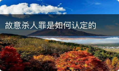 故意杀人罪是如何认定的