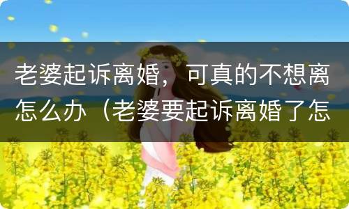 老婆起诉离婚，可真的不想离怎么办（老婆要起诉离婚了怎么挽回婚姻）