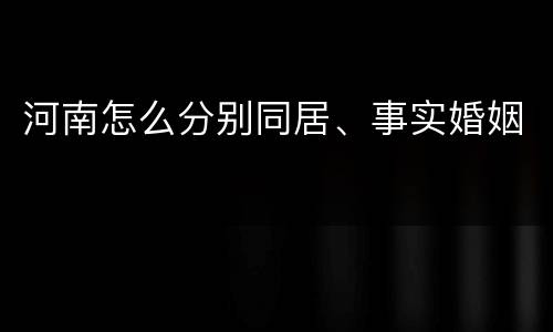 河南怎么分别同居、事实婚姻