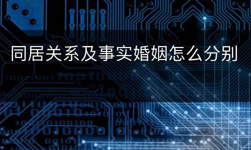 同居关系及事实婚姻怎么分别