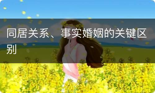 同居关系、事实婚姻的关键区别