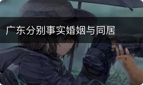 广东分别事实婚姻与同居