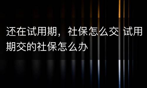 还在试用期，社保怎么交 试用期交的社保怎么办