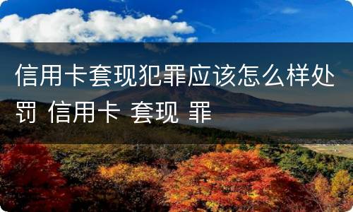 信用卡套现犯罪应该怎么样处罚 信用卡 套现 罪