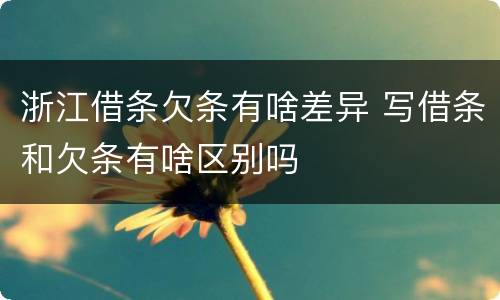 浙江借条欠条有啥差异 写借条和欠条有啥区别吗