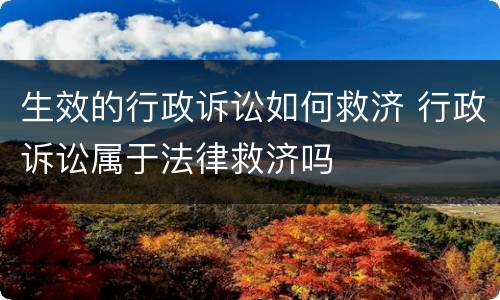 生效的行政诉讼如何救济 行政诉讼属于法律救济吗