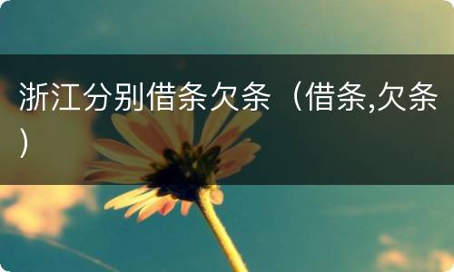 浙江分别借条欠条（借条,欠条）