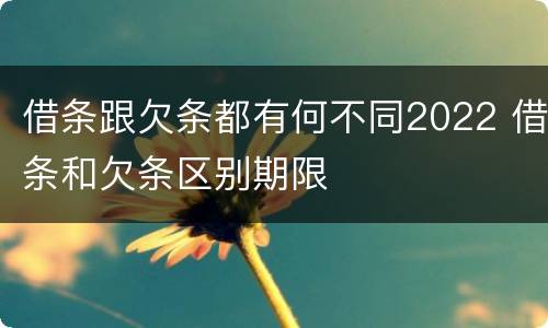 借条跟欠条都有何不同2022 借条和欠条区别期限
