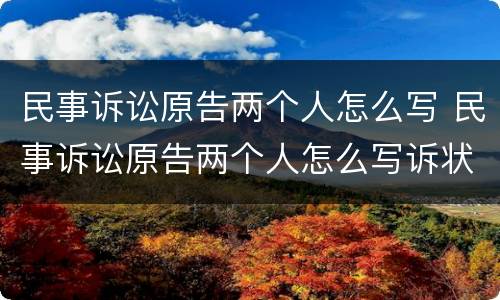 民事诉讼原告两个人怎么写 民事诉讼原告两个人怎么写诉状