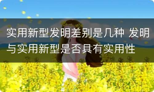 实用新型发明差别是几种 发明与实用新型是否具有实用性