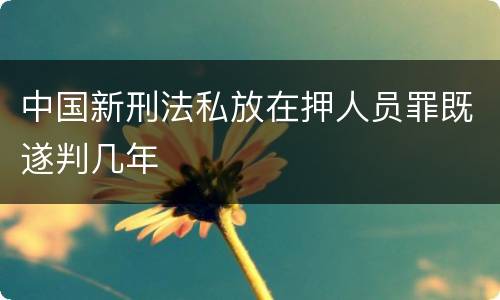 中国新刑法私放在押人员罪既遂判几年