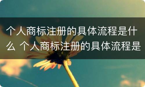 个人商标注册的具体流程是什么 个人商标注册的具体流程是什么呢