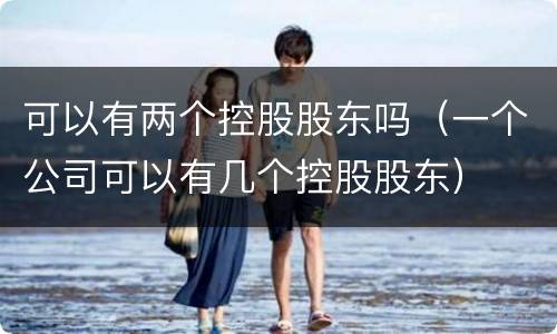 可以有两个控股股东吗（一个公司可以有几个控股股东）