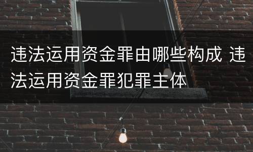 违法运用资金罪由哪些构成 违法运用资金罪犯罪主体