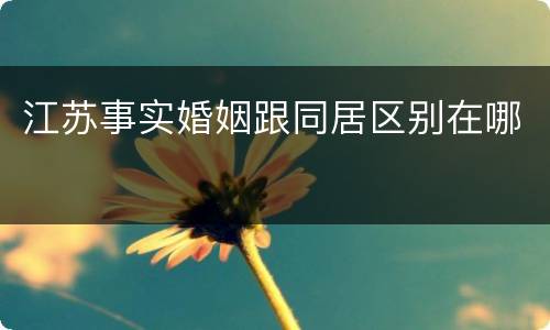 江苏事实婚姻跟同居区别在哪