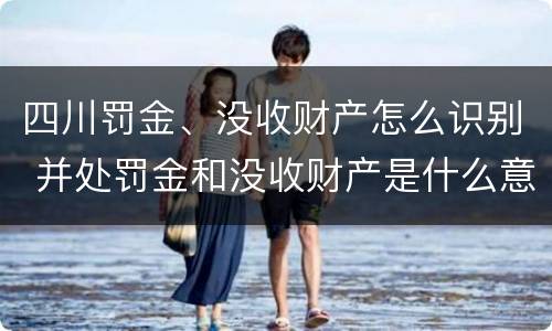 四川罚金、没收财产怎么识别 并处罚金和没收财产是什么意思