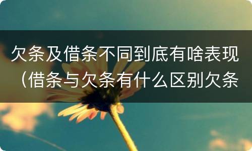 欠条及借条不同到底有啥表现（借条与欠条有什么区别欠条怎么写）