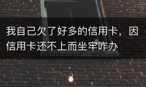 我自己欠了好多的信用卡，因信用卡还不上而坐牢咋办