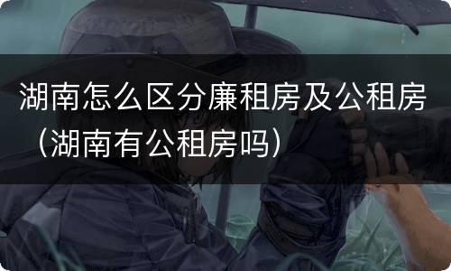 湖南怎么区分廉租房及公租房（湖南有公租房吗）