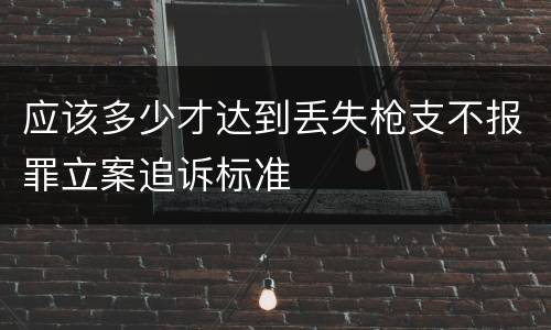 应该多少才达到丢失枪支不报罪立案追诉标准