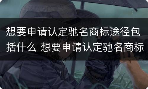 想要申请认定驰名商标途径包括什么 想要申请认定驰名商标途径包括什么内容