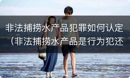 非法捕捞水产品犯罪如何认定（非法捕捞水产品是行为犯还是结果犯）